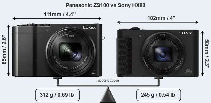 Size Panasonic ZS100 vs Sony HX80