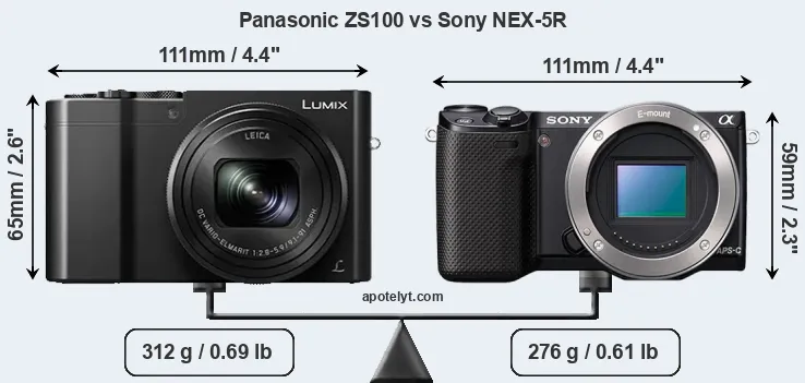 Size Panasonic ZS100 vs Sony NEX-5R