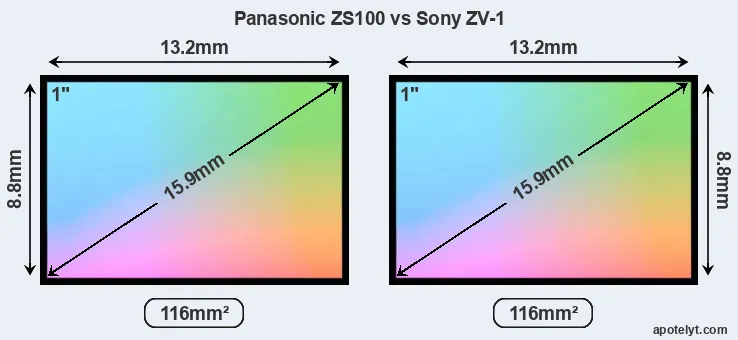 Panasonic ZS100 and Sony ZV-1 sensor measures