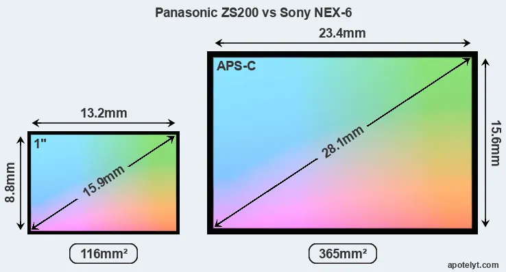 Panasonic ZS200 and Sony NEX-6 sensor measures
