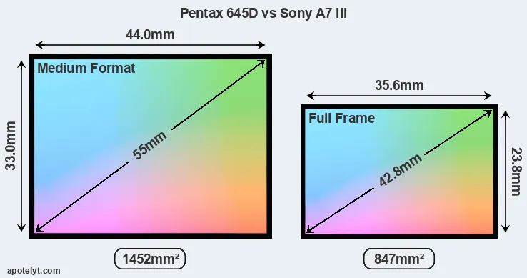 Pentax 645D and Sony A7 III sensor measures