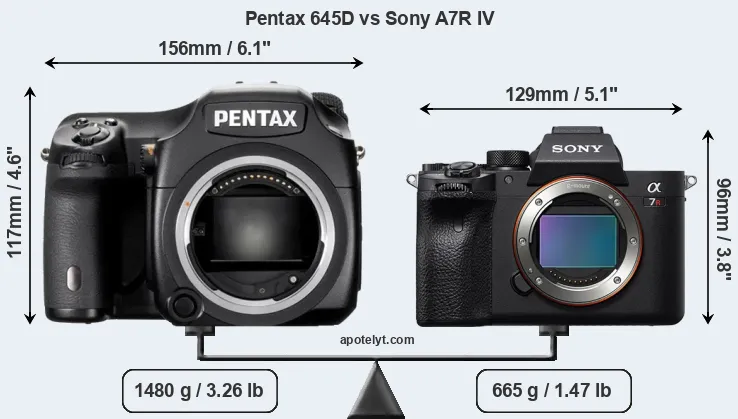 Size Pentax 645D vs Sony A7R IV