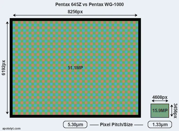 645Z versus WG-1000 MP