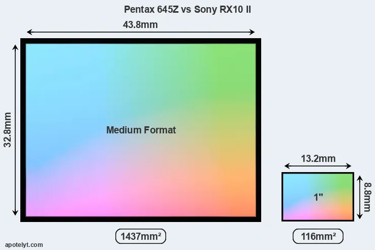 Pentax 645Z and Sony RX10 II sensor measures