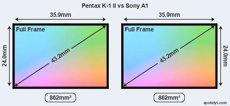 Pentax K-1 II and Sony A1 sensor measures