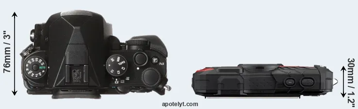 Compare KP versus WG-60 top