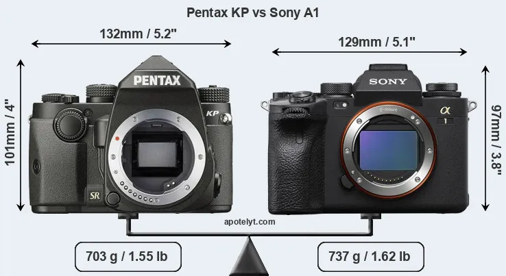 Size Pentax KP vs Sony A1