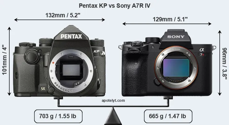 Size Pentax KP vs Sony A7R IV