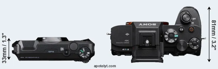 Compare WG-8 versus A7S III top