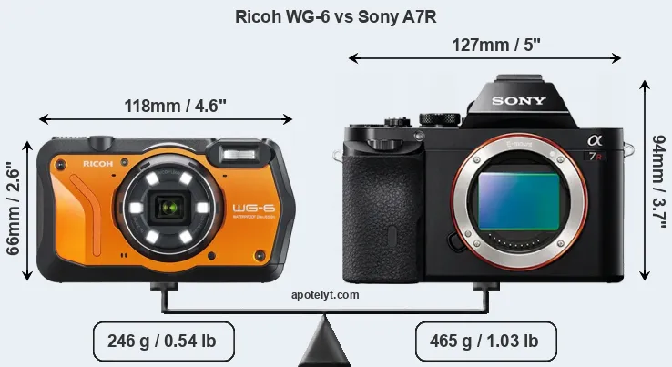 Size Ricoh WG-6 vs Sony A7R
