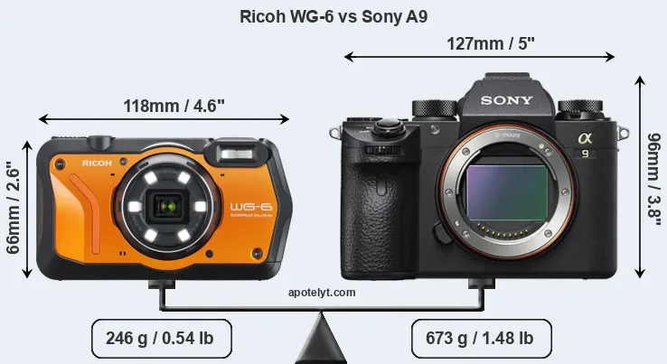 Size Ricoh WG-6 vs Sony A9