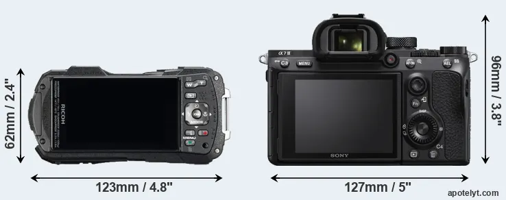 Comparison WG-60 or A7 III rear