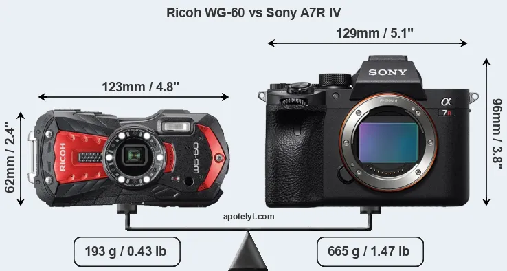Size Ricoh WG-60 vs Sony A7R IV