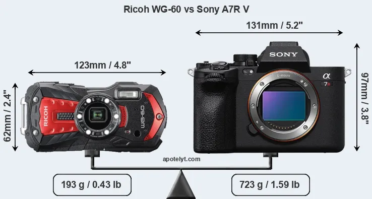 Size Ricoh WG-60 vs Sony A7R V