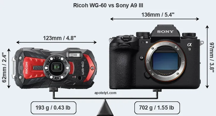 Size Ricoh WG-60 vs Sony A9 III