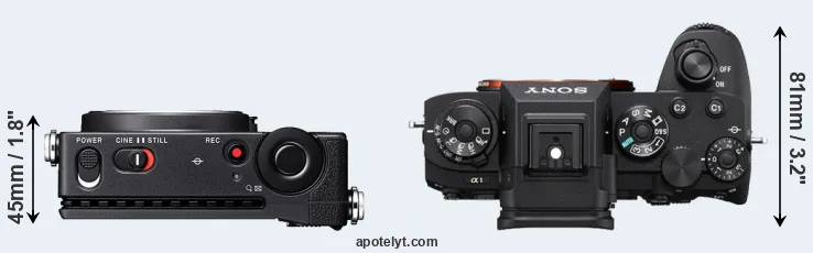 Compare fp L versus A1 top