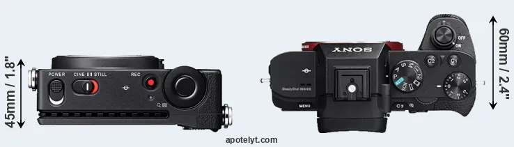 Compare fp L versus A7 II top