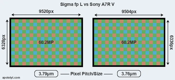 fp L versus A7R V MP