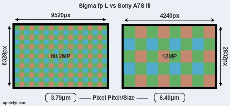 fp L versus A7S III MP