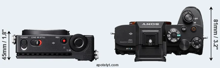 Compare fp L versus A7S III top