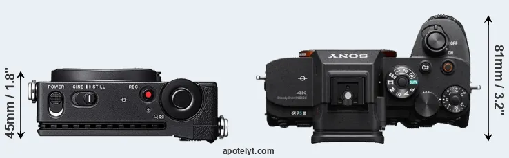 Compare fp versus A7S III top