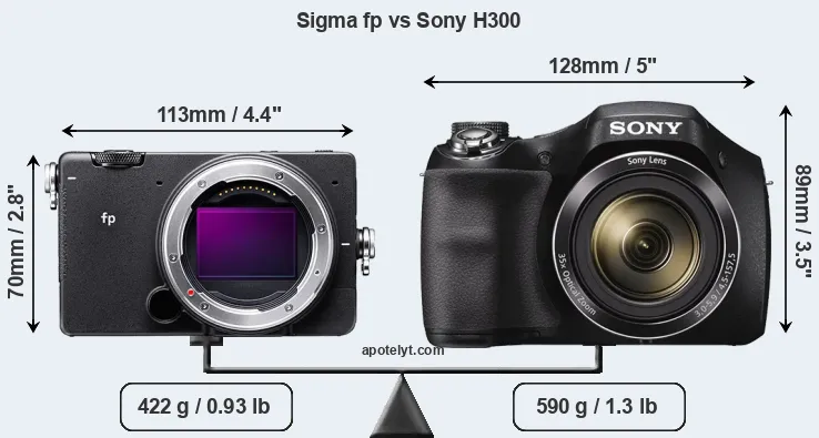 Size Sigma fp vs Sony H300