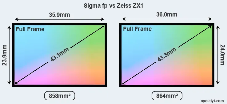 Sigma fp and Zeiss ZX1 sensor measures