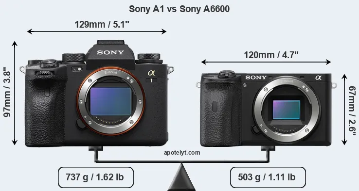 Size Sony A1 vs Sony A6600