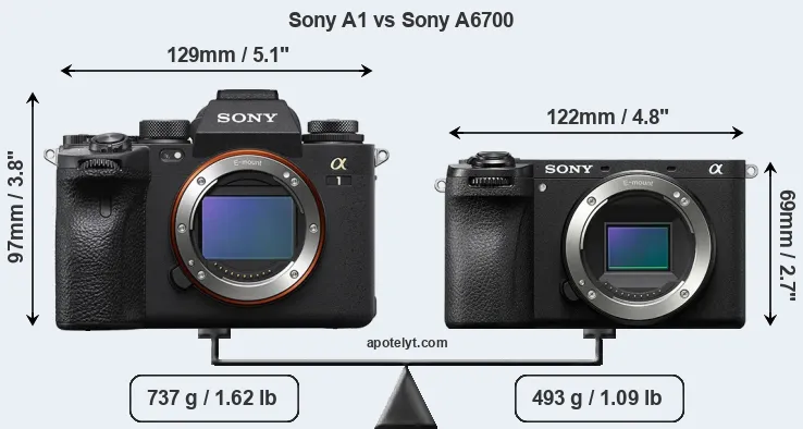 Size Sony A1 vs Sony A6700