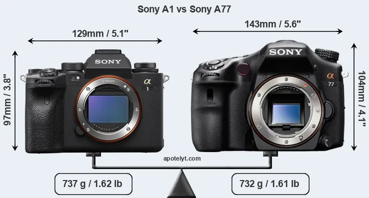 Size Sony A1 vs Sony A77