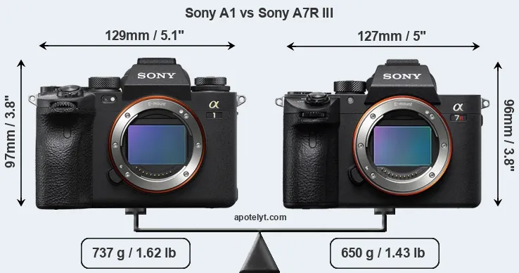 Size Sony A1 vs Sony A7R III