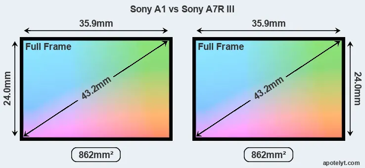 Sony A1 and Sony A7R III sensor measures