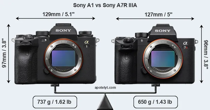 Size Sony A1 vs Sony A7R IIIA