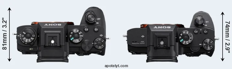 Compare A1 versus A7R IIIA top