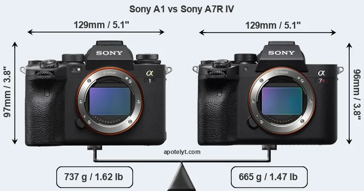 Size Sony A1 vs Sony A7R IV