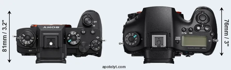 Compare A1 versus A99 II top