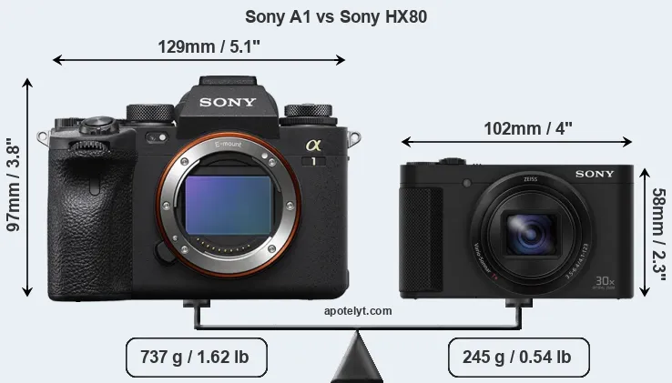 Size Sony A1 vs Sony HX80