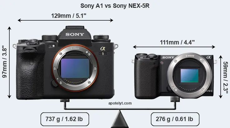 Size Sony A1 vs Sony NEX-5R