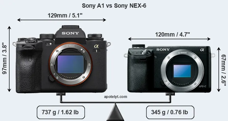 Size Sony A1 vs Sony NEX-6