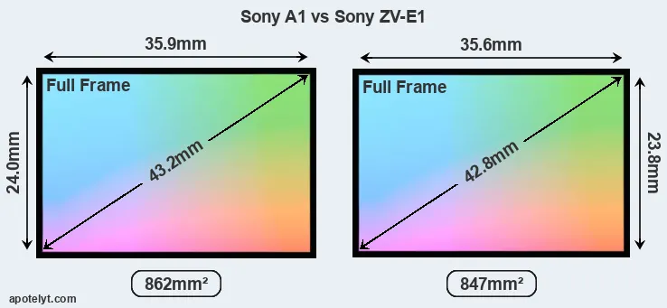 Sony A1 and Sony ZV-E1 sensor measures
