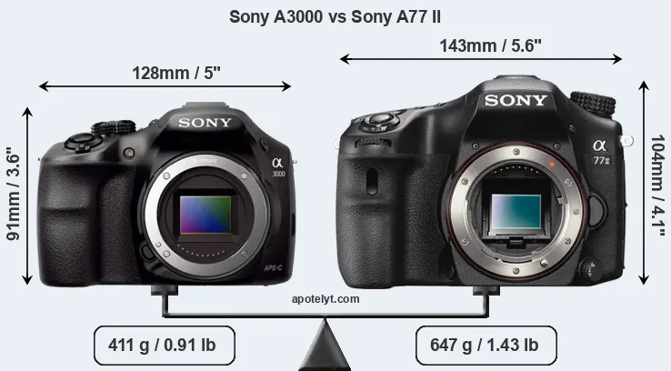 Size Sony A3000 vs Sony A77 II