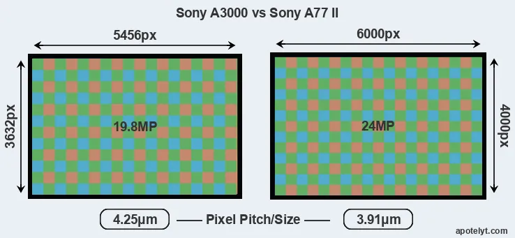 A3000 versus A77 II MP