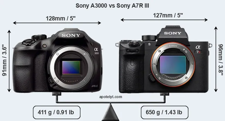 Size Sony A3000 vs Sony A7R III