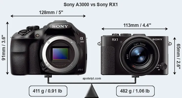 Size Sony A3000 vs Sony RX1