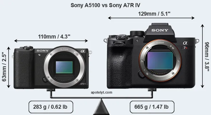 Size Sony A5100 vs Sony A7R IV