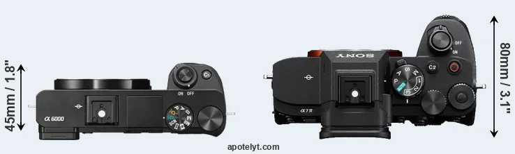Compare A6000 versus A7 IV top