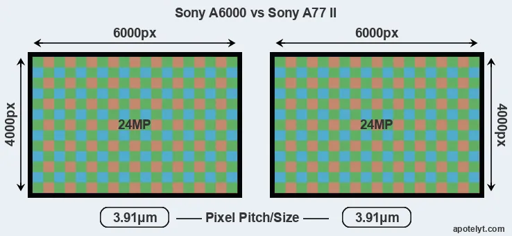 A6000 versus A77 II MP