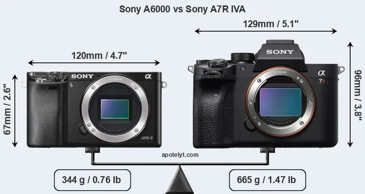 Size Sony A6000 vs Sony A7R IVA