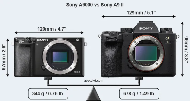 Size Sony A6000 vs Sony A9 II