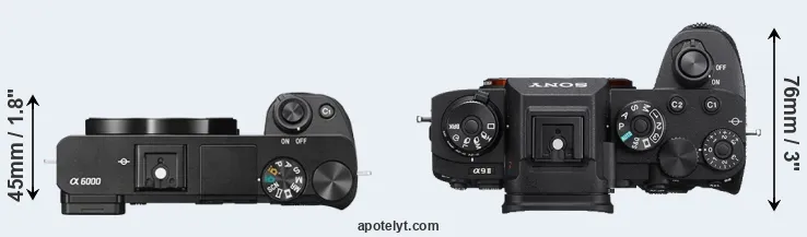 Compare A6000 versus A9 II top
